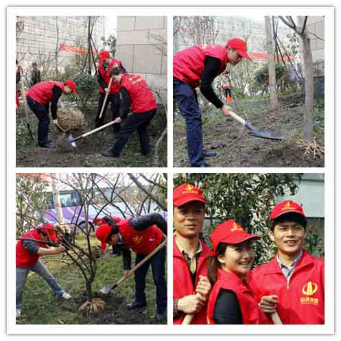 裝飾集團組織志愿者開展“3.12”植樹活動