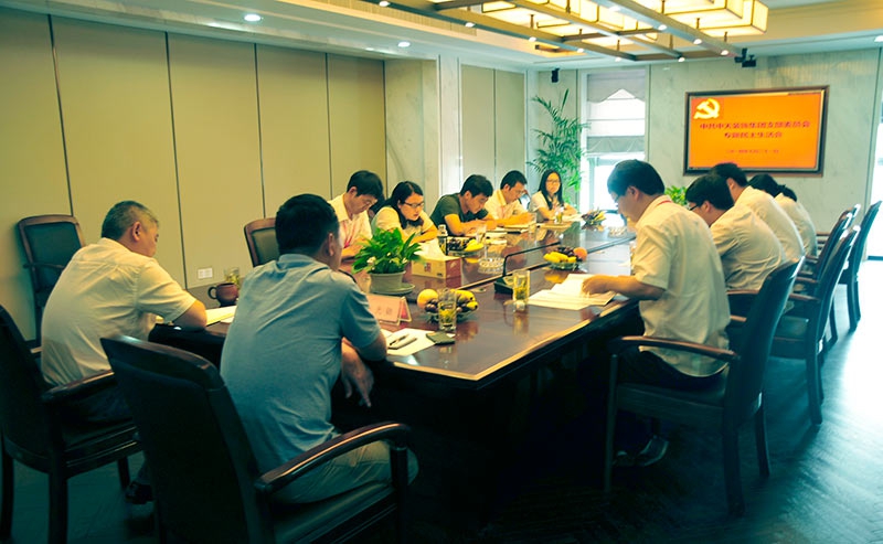 中共裝飾集團支部召開專題組織生活會