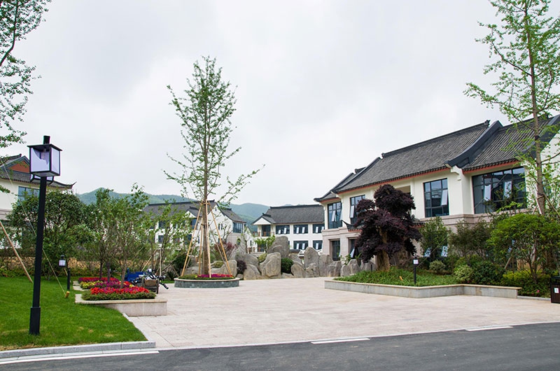 美地園林喜獲浙江省優(yōu)秀園林工程金獎