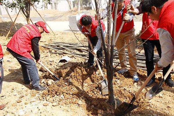 裝飾集團組織開展志愿者“3.12”植樹活動