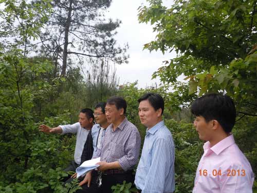 樓錦其董事長前往苗圃基地檢查工作