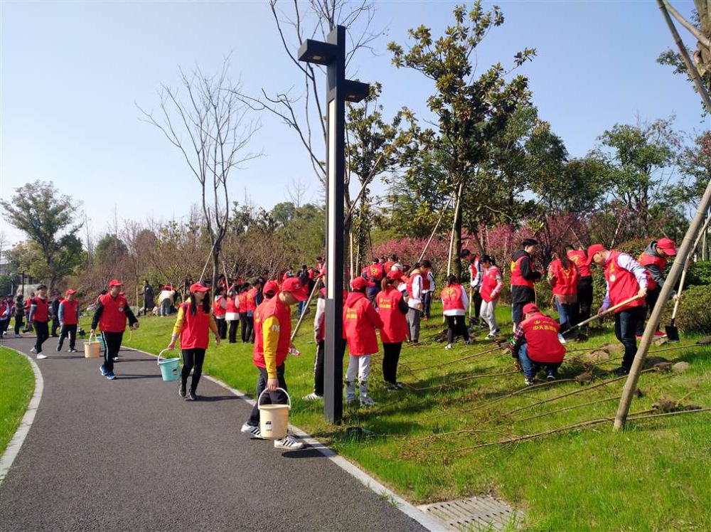 綠色傳遞 為愛播種 ——中天精誠裝飾組織開展志愿者“3.12”植樹活動